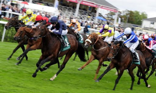 4th May betting tips and Guineas preview Sports Betting Stars