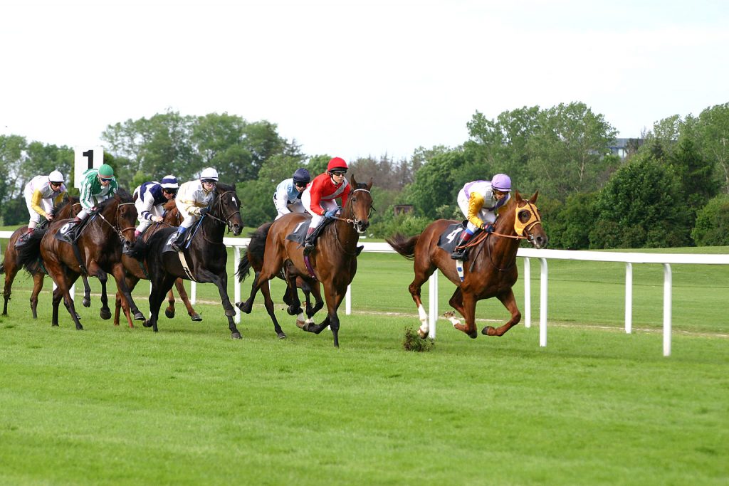 2nd August Goodwood betting tips and preview Sports Betting Stars