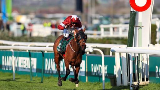 FIVE HORSES TO TAKE OUT OF CHELTENHAM FESTIVAL 2020 Sports Betting Stars